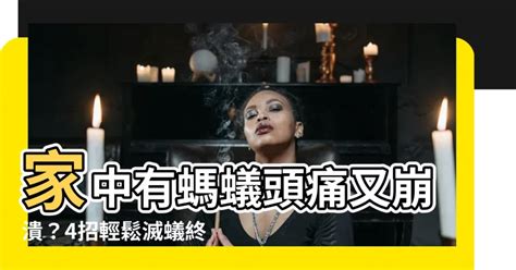 突然有螞蟻|家中突然出現很多小螞蟻怎麼辦？專家教你五招消滅家中小螞蟻、。